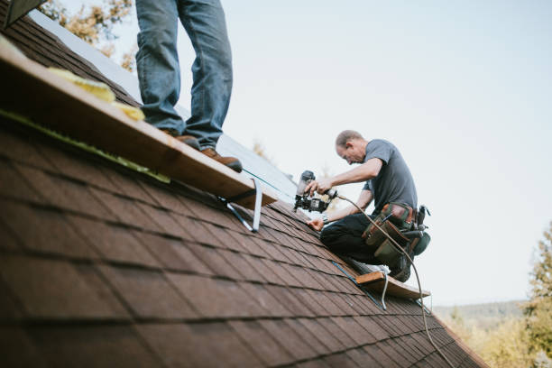 Best Metal Roofing Contractor  in Olympia, WA