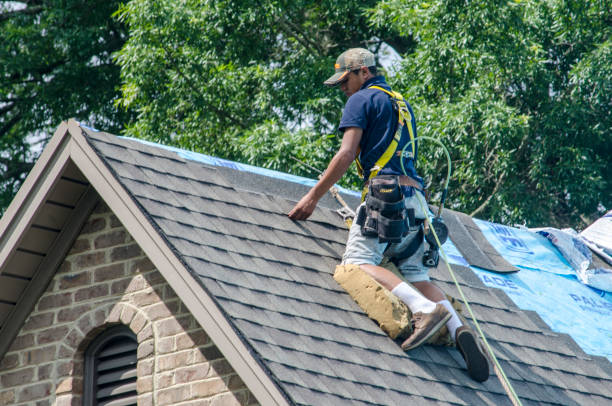 Quick and Trustworthy Emergency Roof Repair Services in Olympia, WA